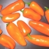 Pieprz pomarańczowy